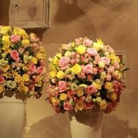 Flores amarelo com rosa!!!