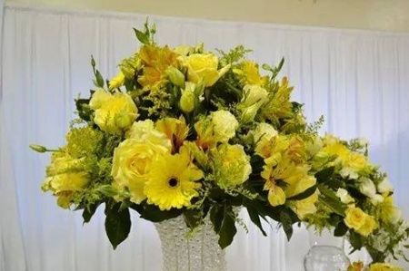 flores