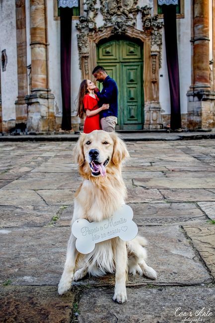 Fotos Pré Wedding #vemver 6