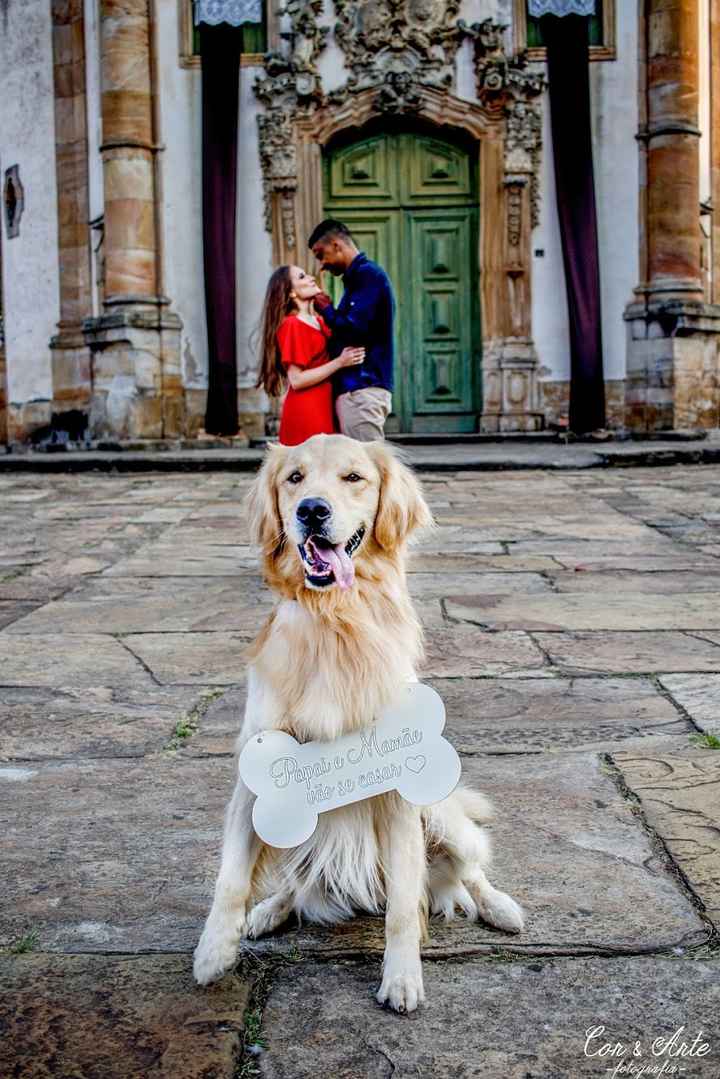 Fotos Pré Wedding #vemver - 6