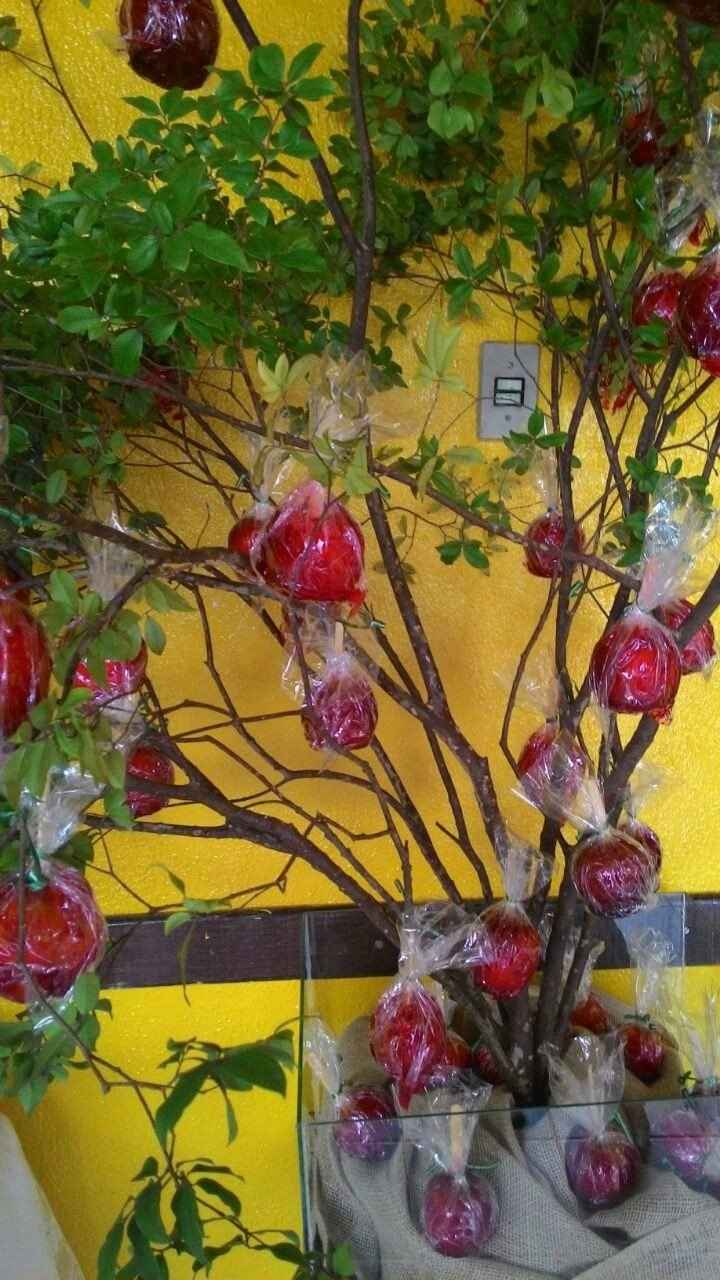 árvore de maçã do amor 