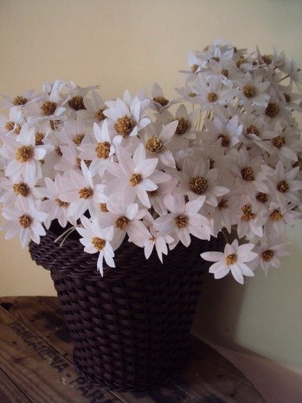vaso margaridas