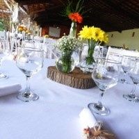 centro de mesa com troncos