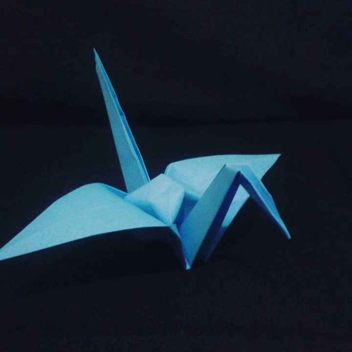 Teste para cortina de pássaro de origami diy