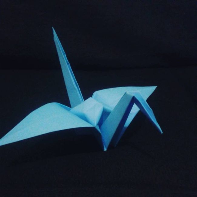 Teste para cortina de pássaro de origami diy