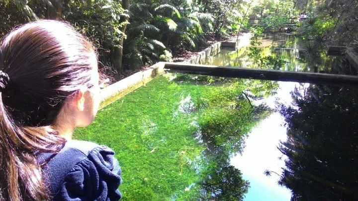 Parque da Água Branca