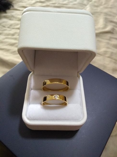 Nossas Alianças de casamento Stella Diamonds 5