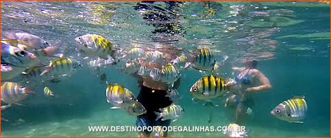 Ganhamos a viagem - uhuuuuul - 2