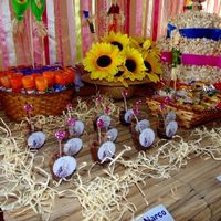 Inspiração para mesa do bolo.