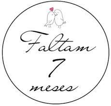 7 meses