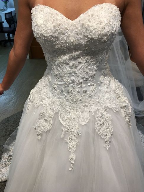 Esse foi o segundo já num modelo princesa