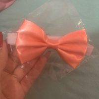 Gravata dos padrinhos combinando ou não? 👔 - 1