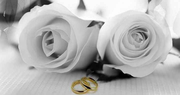 Rosas e Alianças