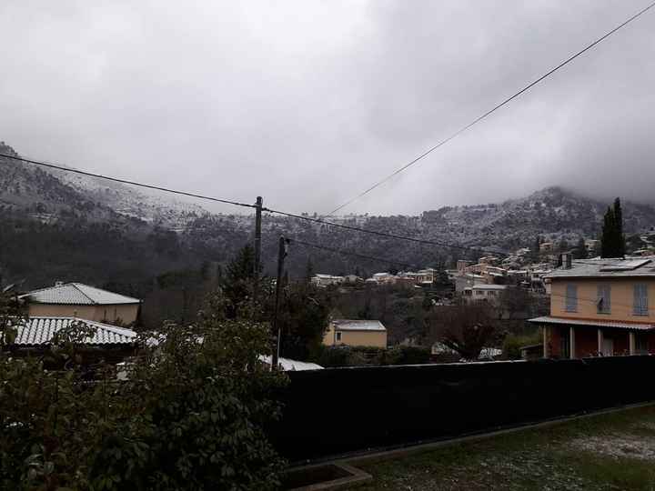 Neve 6