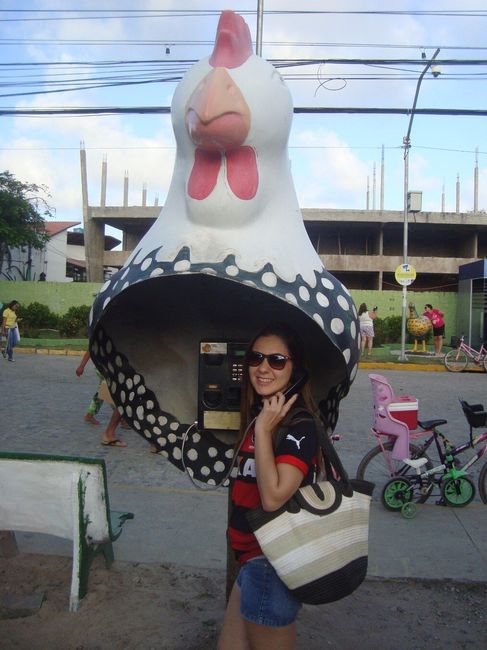Tem galinha por todo canto, rs!!!