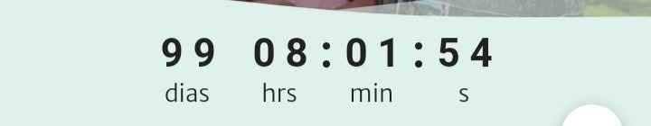 99 dias