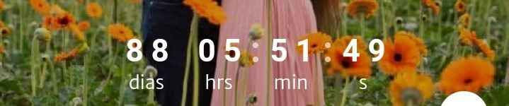 88 dias