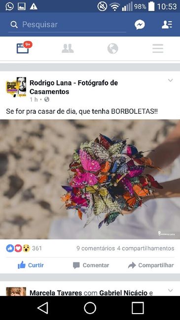 Buquê de borboletas - 1