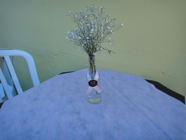 Vasos