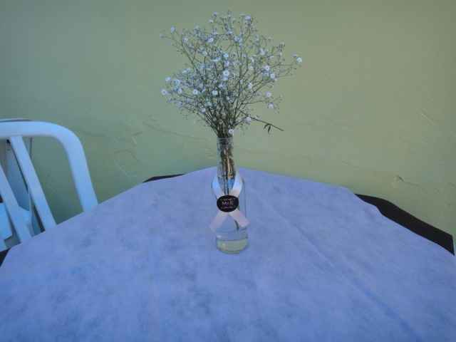 Vasos