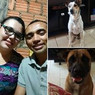 Biia