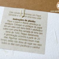 Inspiração Convite Plantável