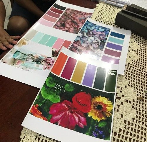Escolha das cores 
