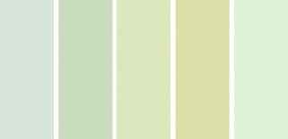 Paleta de cores. Verde Pastel