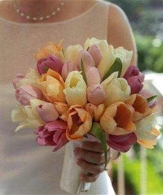 Buque de Tulipas