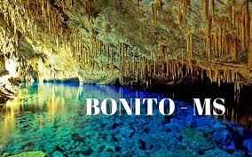 Bonito