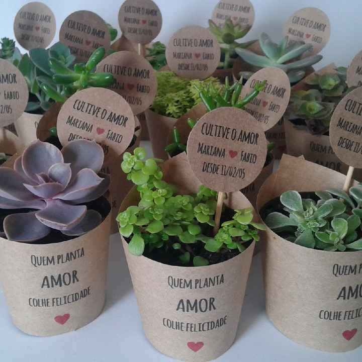 Mini Suculentas | o Justo e o Exagero 🧐🌱 - 1