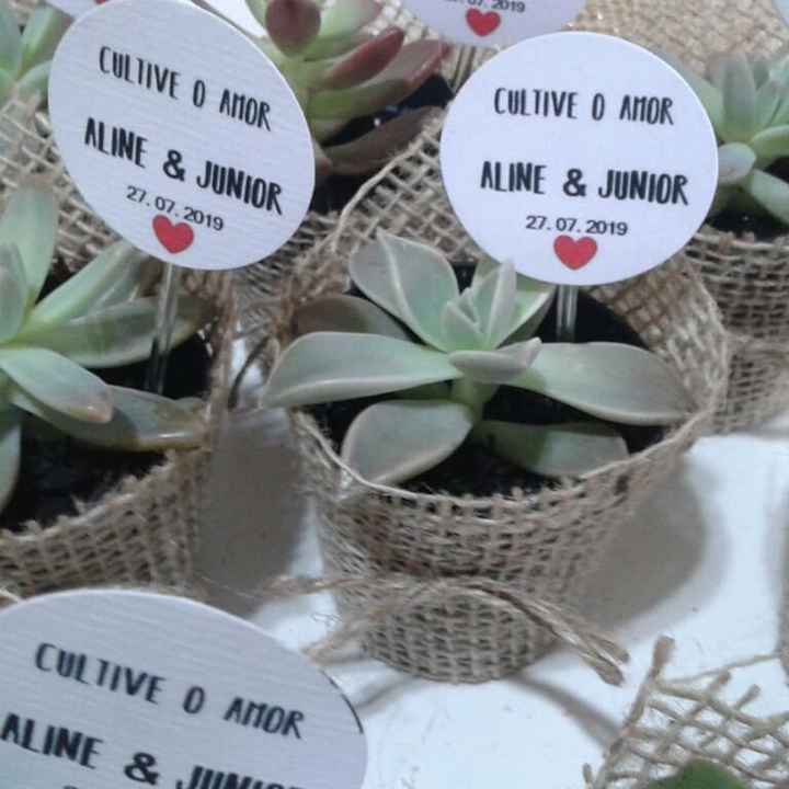 Mini Suculentas | o Justo e o Exagero 🧐🌱 - 2