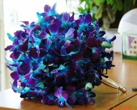 Bouquet