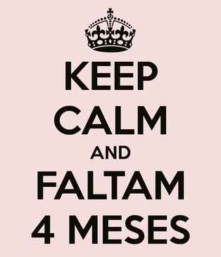 Faltam 4 meses, e agora? - 1