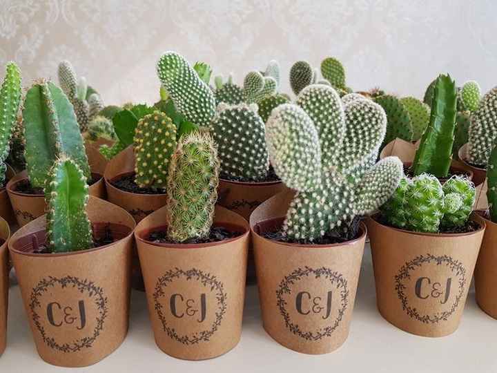 cactos 