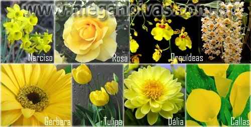 1 - Flores selecionas por nome