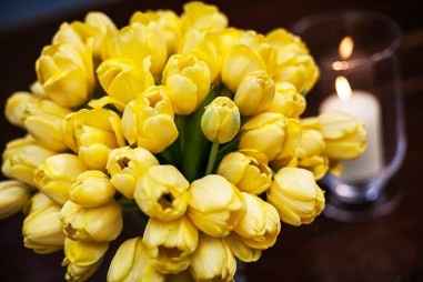 Essas são as tulipas
