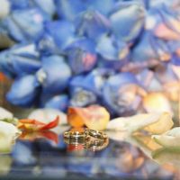  Alianças. Compartilhe a Sua também! 😍💍 - 1