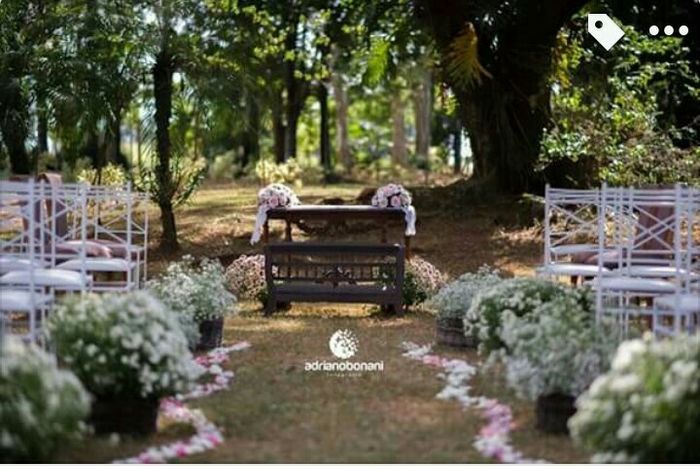 Casamento ao ar livre, idéias!!?? - 3