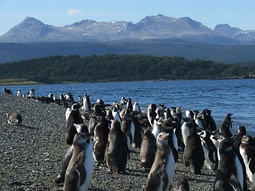 Patagonia Chilena