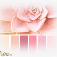 Qual será a sua paleta de cores? - 1