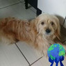 Murilo