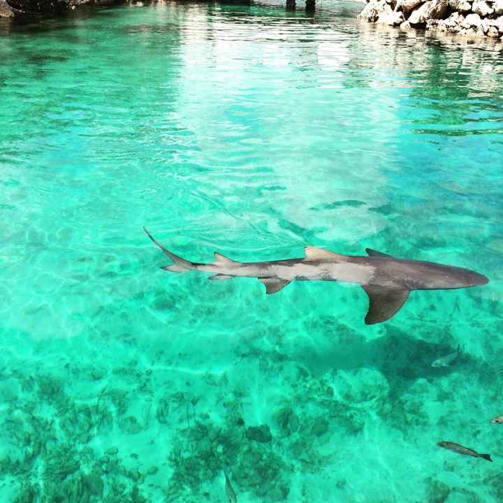 Curacao - 4