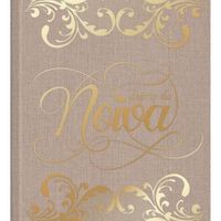 O diário de noiva da luana karini - 1