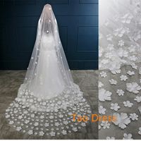 Escolhi meu véu - 2