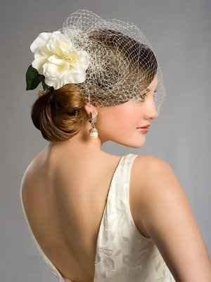 Véu birdcage