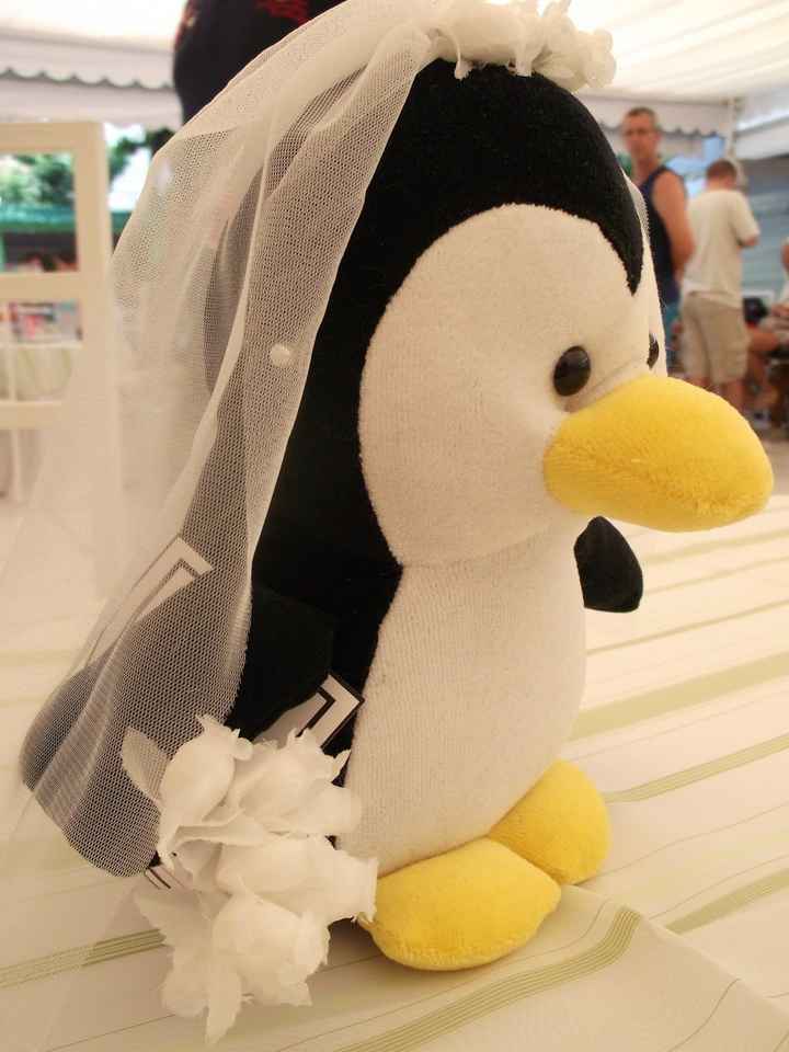 O pinguim