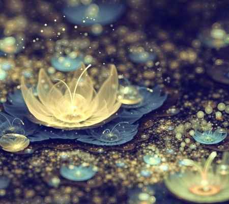 flor de lotus