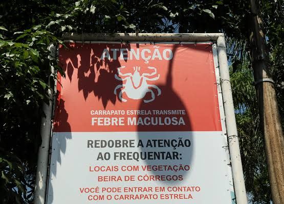 Pré wedding e febre maculosa? - 1