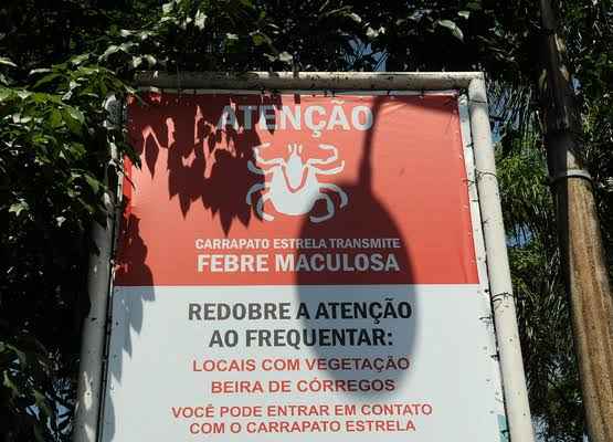 Pré wedding e febre maculosa? - 1